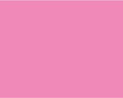 Turner Acryl Gouache  40mL  Pink