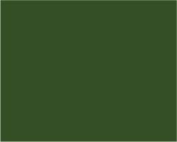 Turner Acryl Gouache  40mL  Olive Green