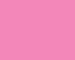 Jacquard 2oz Textile Paint  Pink 