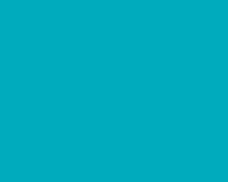 Jacquard 8oz Textile Paint Turquoise