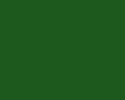 Turner Acryl Gouache  20mL Tube  Japanese Deep Green