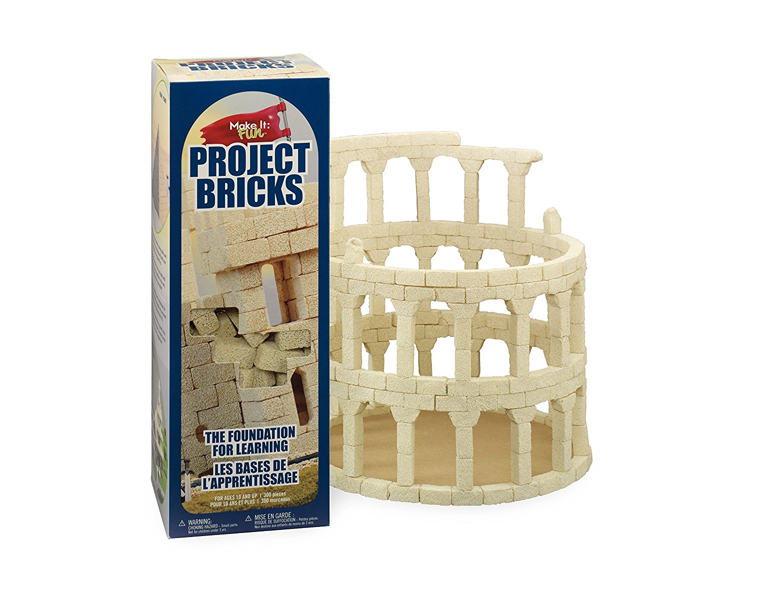 Flora Craft Project Bricks, Package of 300