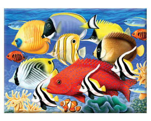 Royal & Langnickel Paint By Number Junior - Tropical Fish