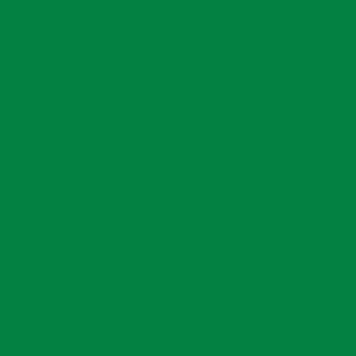 Caligo Traditional Relief Ink - Light Green - 75ml
