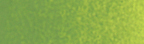 Winsor & Newton Cotman Watercolour Sap Green 8ML